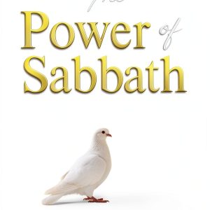 Truth in Design Book Bales Publishing Personal Success-0